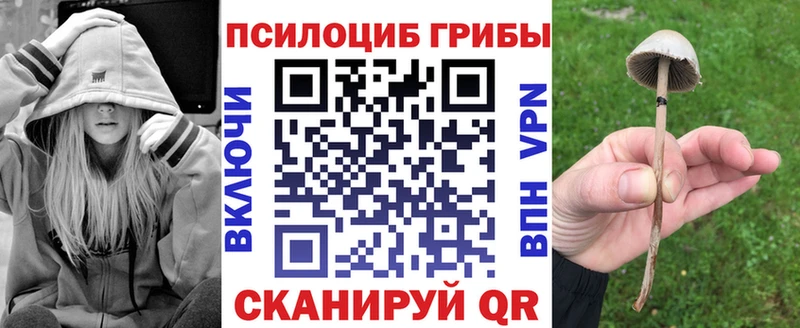 Галлюциногенные грибы Psilocybine cubensis  хочу   Ермолино 